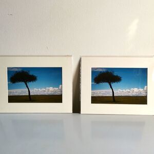 NWOT Home Art Set of 2